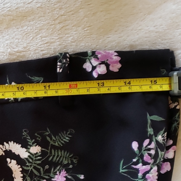 Anne Taylor - Picture 4 of 4